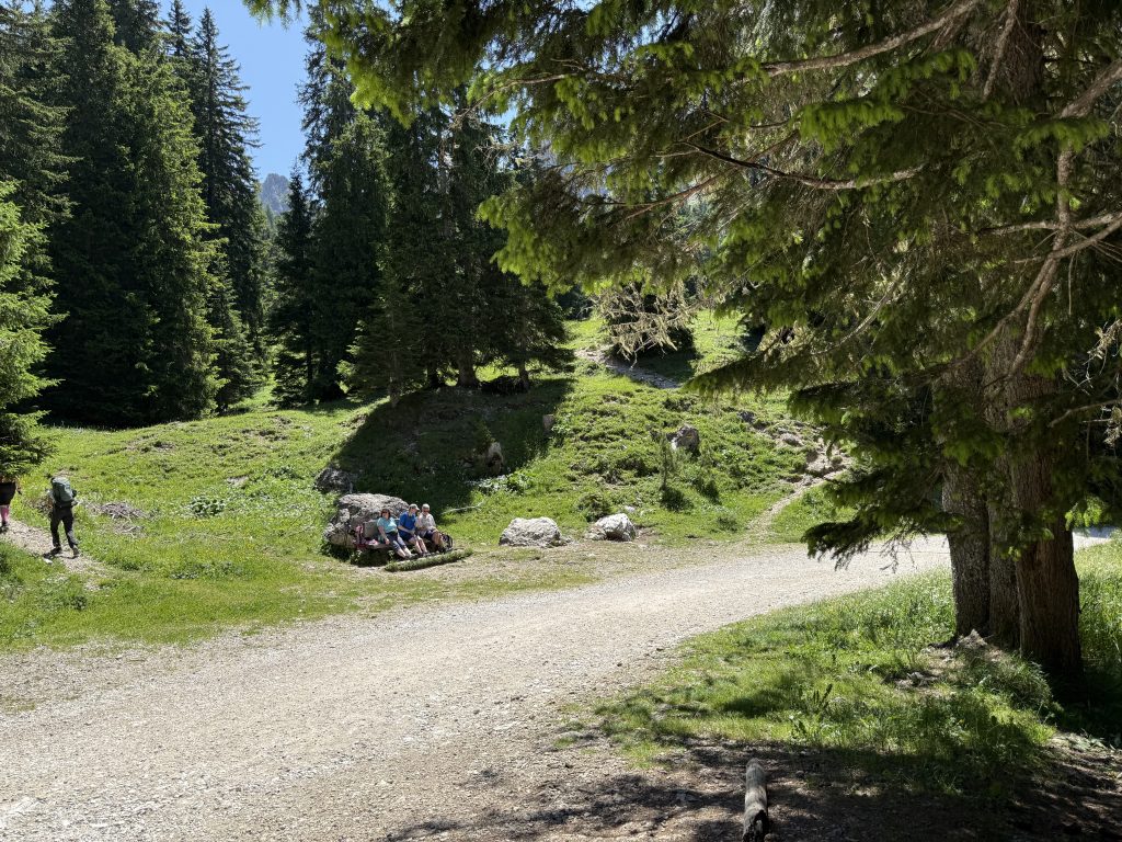 IMG 7832
