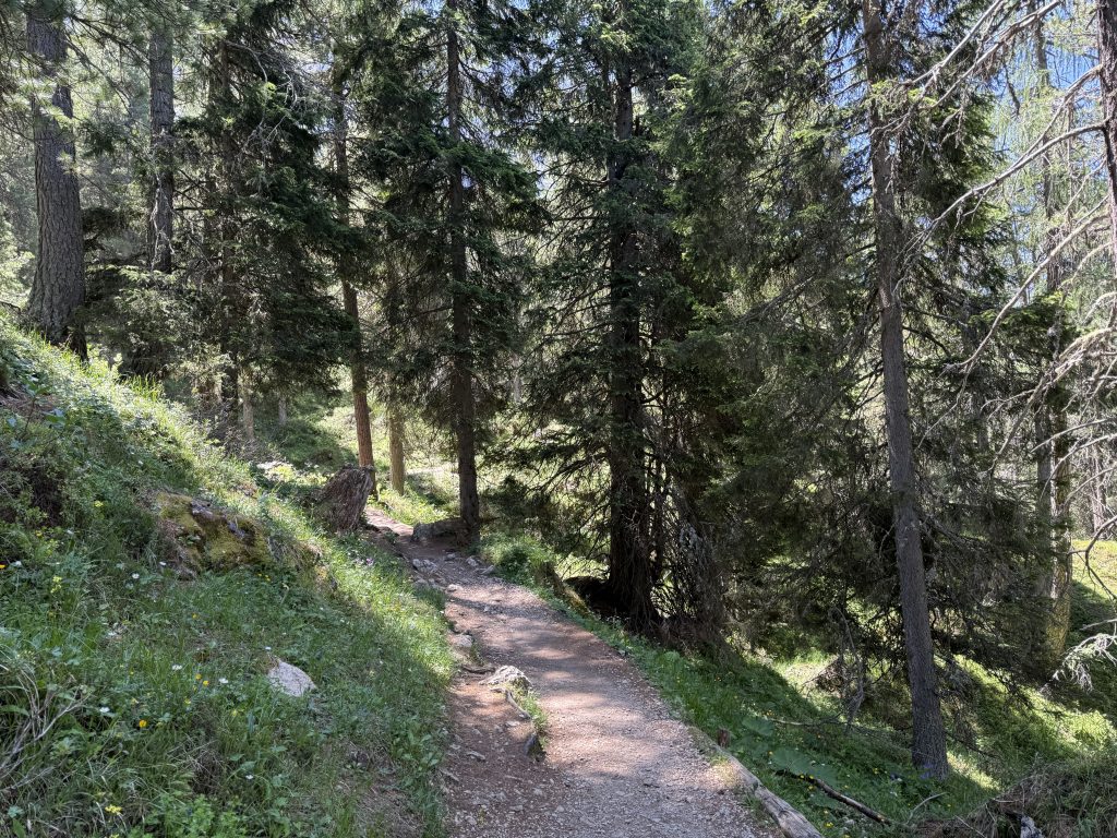 IMG 7845