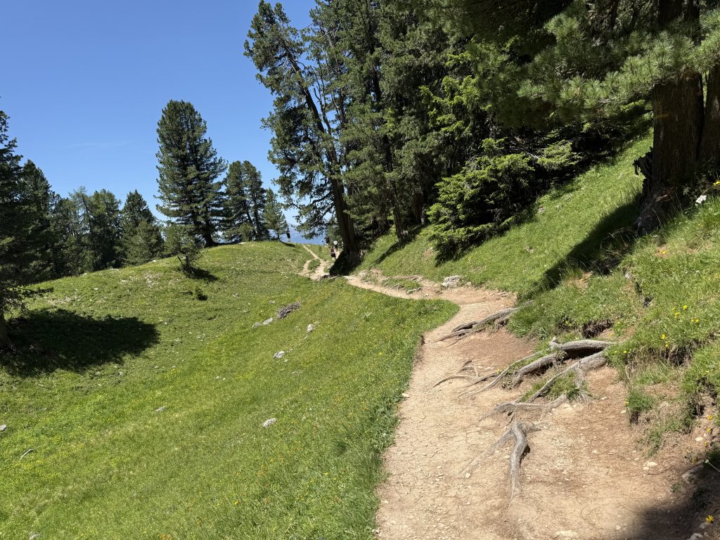 IMG 7865