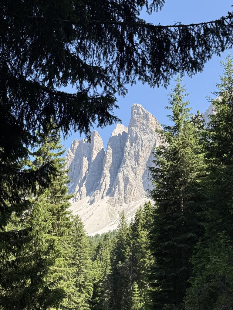 IMG 7977