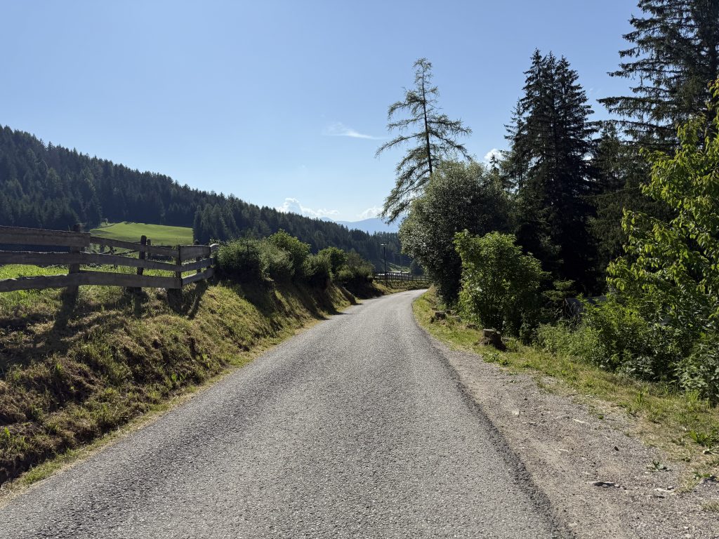 IMG 7997