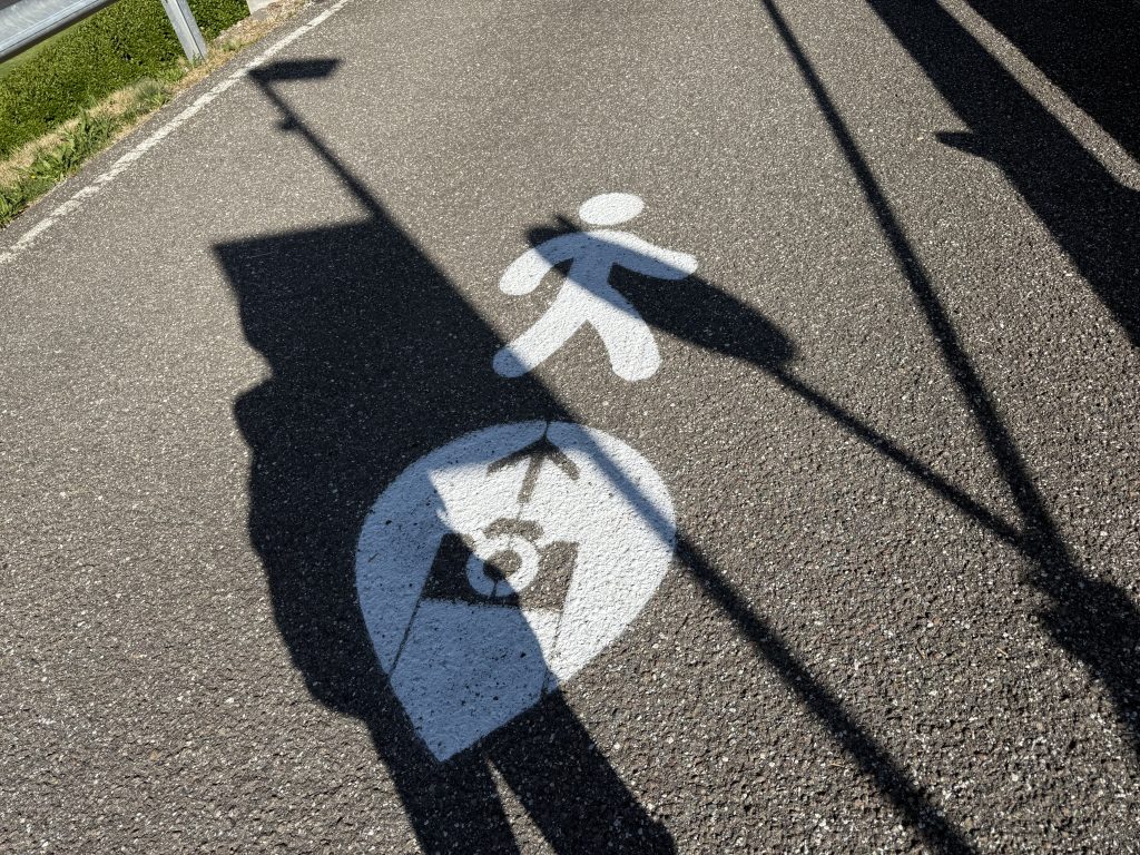 IMG 8025