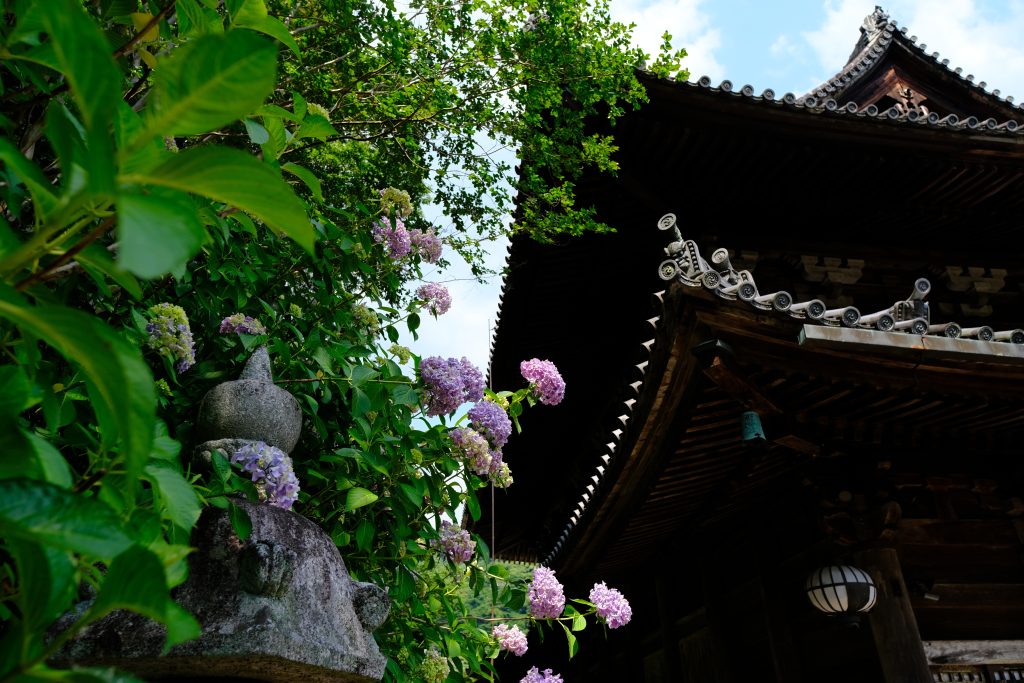 奈良長谷寺國寶本堂懸造舞台建築