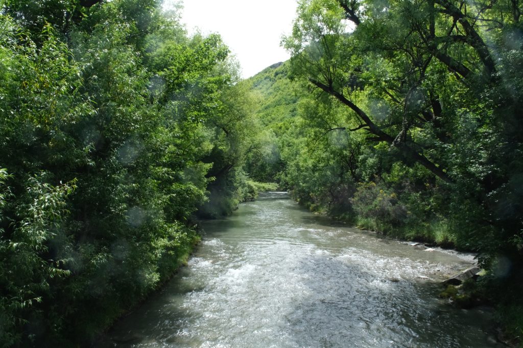 DSCF7199